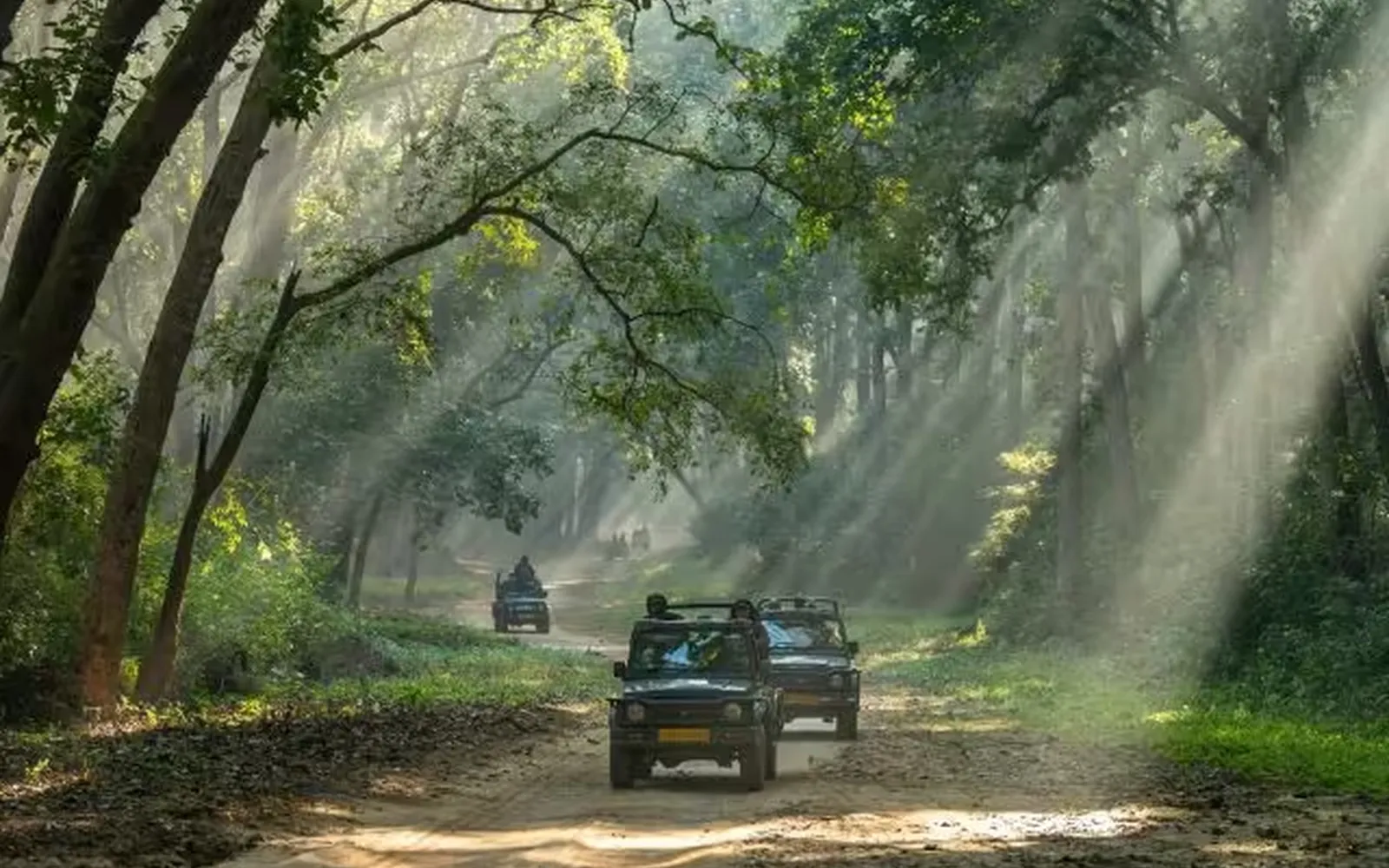 Jim Corbett wedding destination