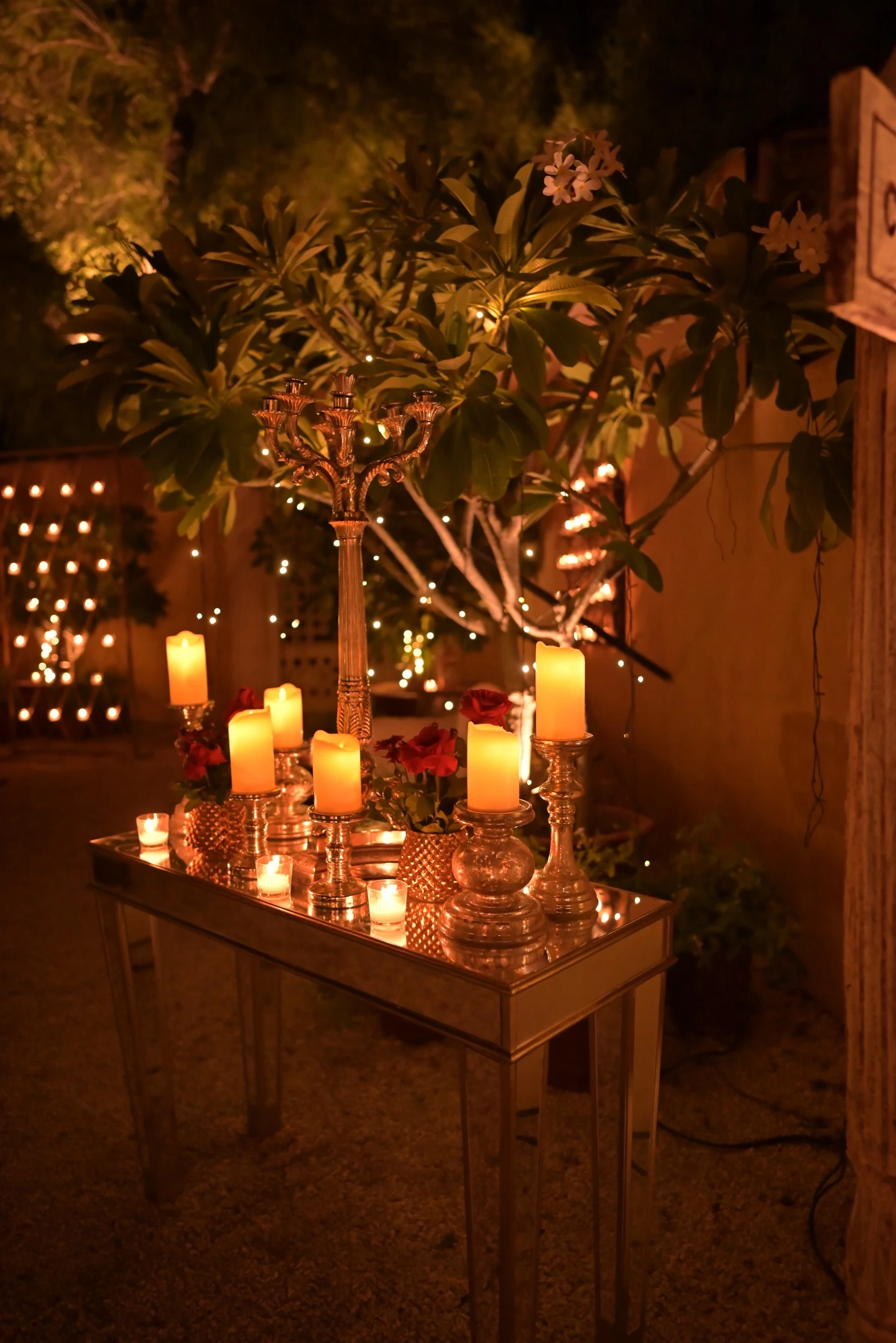 Reception, photo 6